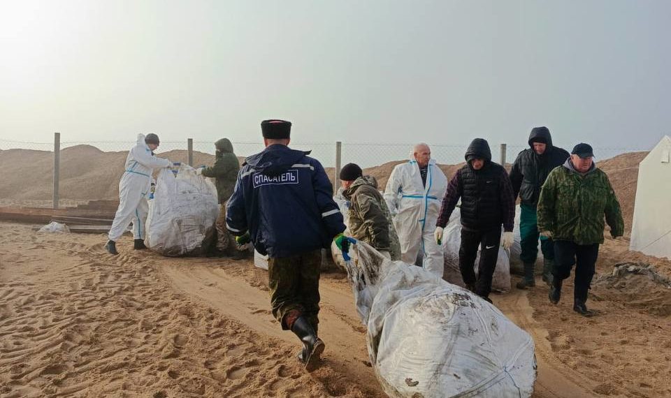 Туристы: Радует, что в Анапе птицы летают над морем