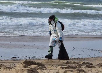 На Кубани в колл-центр «Спасай море» поступило свыше 1200 звонков