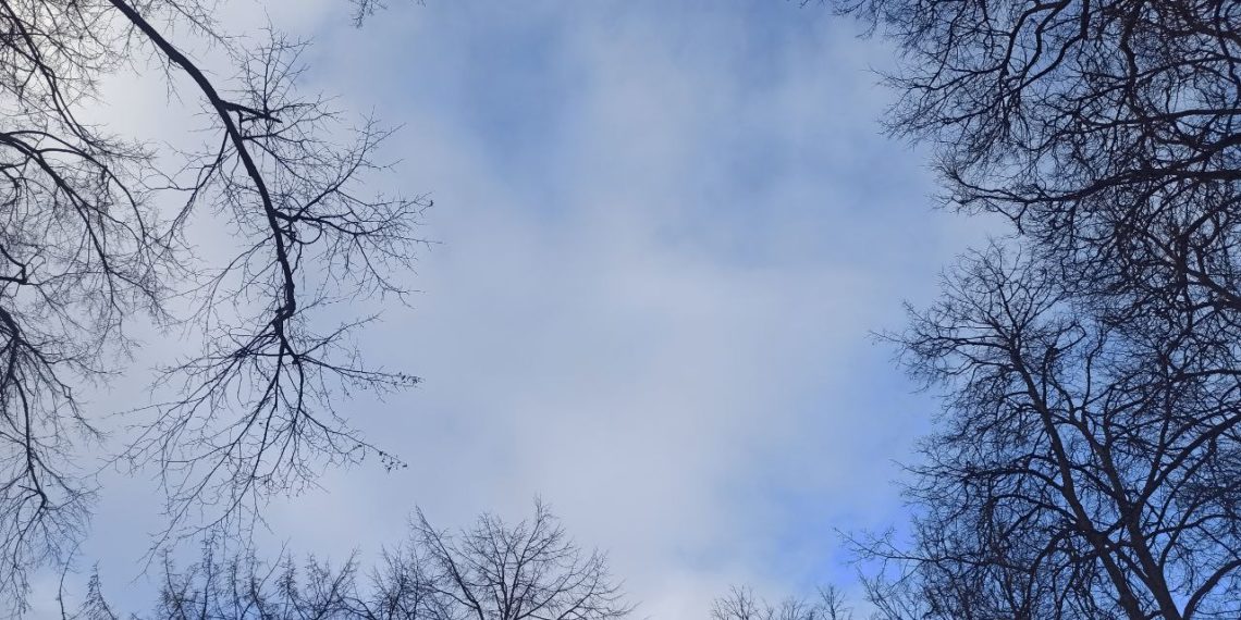 Синоптики разошлись во мнении, какой будет весна 2025 года в России