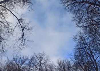 Синоптики разошлись во мнении, какой будет весна 2025 года в России