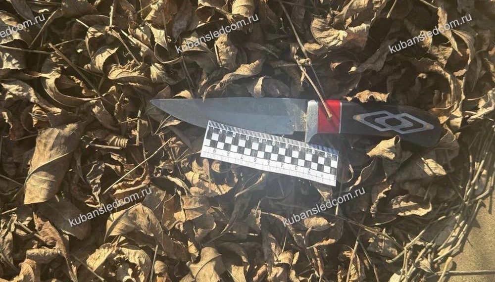 Пьяный житель Краснодарского края пытался зарезать своего собутыльника