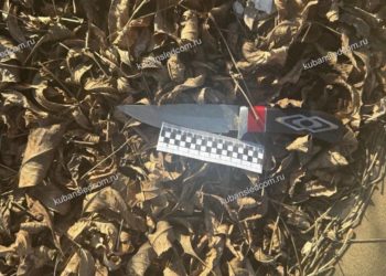 Пьяный житель Краснодарского края пытался зарезать своего собутыльника