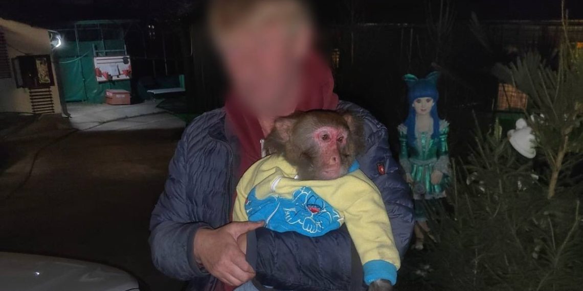 В Сочи у уличного фотографа отобрали обезьяну