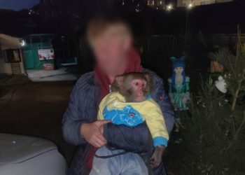В Сочи у уличного фотографа отобрали обезьяну