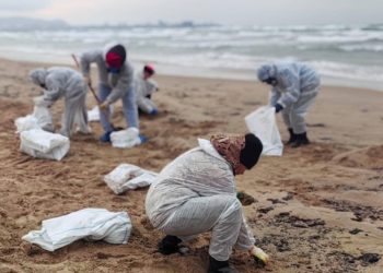 Ижевский фотограф рассказал, как собирал мазут на морском побережье Краснодарского края