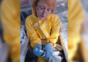 Офтальмолог из Омска спасает птиц на черноморском побережье