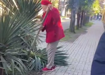 Пожилая сочинка с лопатой набросилась на декоративные растения