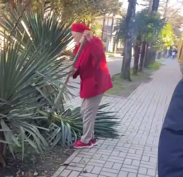 Пожилая сочинка с лопатой набросилась на декоративные растения