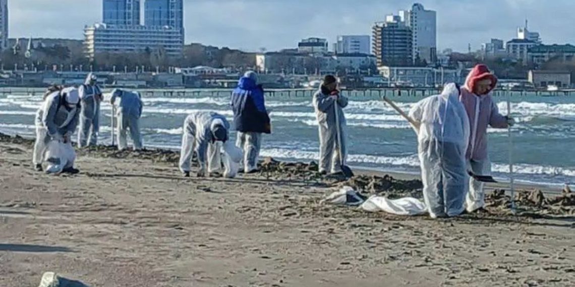 В Краснодарском крае создана группа ученых для очистки песка от мазута