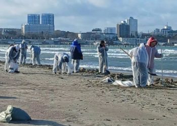 В Краснодарском крае создана группа ученых для очистки песка от мазута