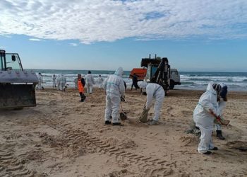 Спасатели из Краснодара за сутки вывезли более тысячи кубометров мусора с пляжей Анапы