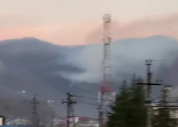 В Сочи горит два гектара лесной подстилки