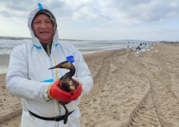 В Краснодарском крае спасли более 3 тысяч птиц