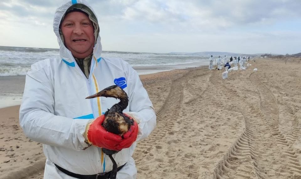 В Краснодарском крае спасли более 3 тысяч птиц