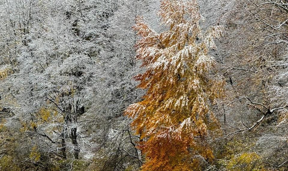 Вильфанд перечислил неприятные сюрпризы, которые погода готовит Кубани