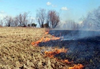 Ночью в Сочи пустырь выгорел на площади 90 “квадратов”