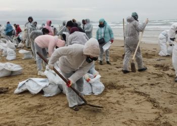 «Частицы мазута сами налипают на сеть»: найден новый способ очистки пляжей Анапы