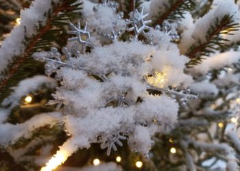 Из-за новых данных синоптики неожиданно изменили прогноз на февраль на Кубани