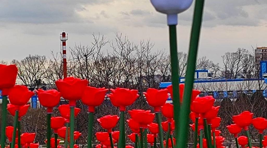 Показываем разрушенный посетителями парк Галицкого в Краснодаре