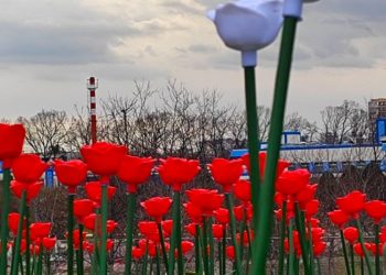 Показываем разрушенный посетителями парк Галицкого в Краснодаре