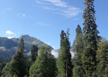 Прогноз погоды на выходные дни 25 и 26 января в Краснодарском крае