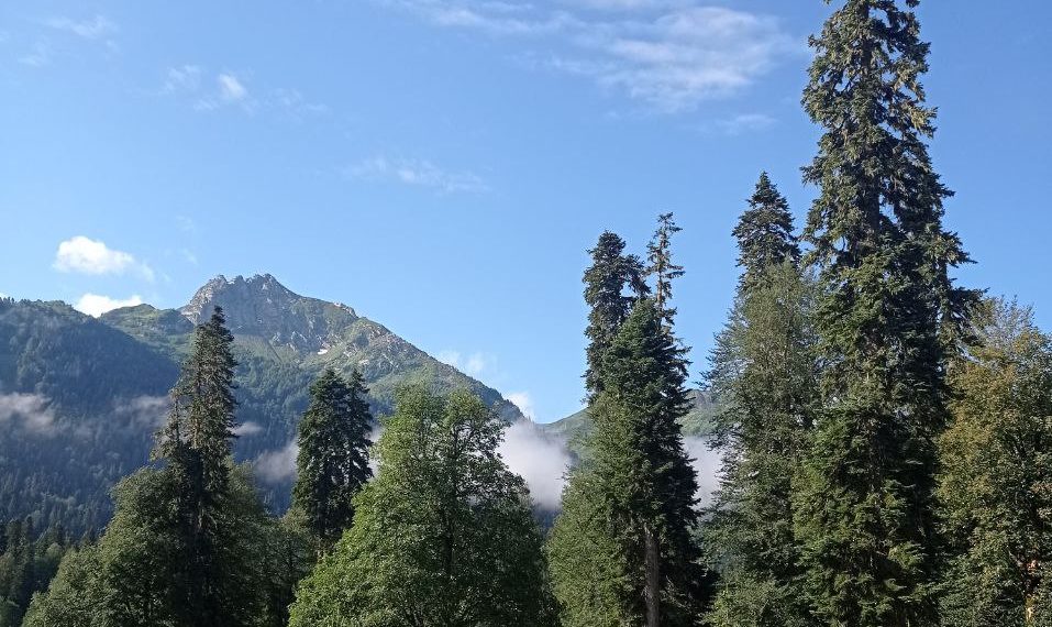 Прогноз погоды на выходные дни 25 и 26 января в Краснодарском крае