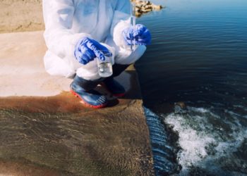 Студенты из Кузбасса присоединились к очистке побережья Черного моря