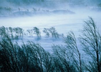 Синоптики Краснодарского ЦГМС раскрыли, чем ураган отличается от сильного ветра