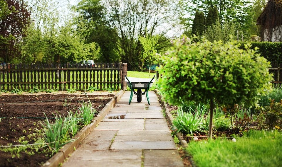 Легко ли получить адрес участка на землях СНТ в городе Сочи