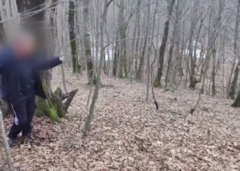 Житель Кубани охотился на медведя и выстрелил из ружья в знакомого