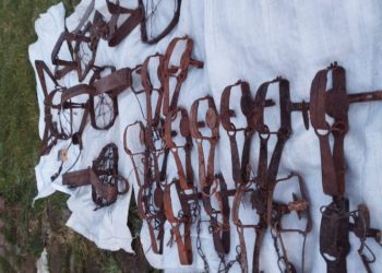 Лесничие обнаружили 20 капканов браконьеров в нацпарке Сочи