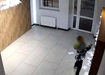 Маленького борца с рекламным спамом запечатлели в Краснодаре