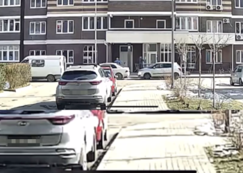 В Краснодаре Биба и Боба с тележкой устроили «дверной апокалипсис» в ЖК