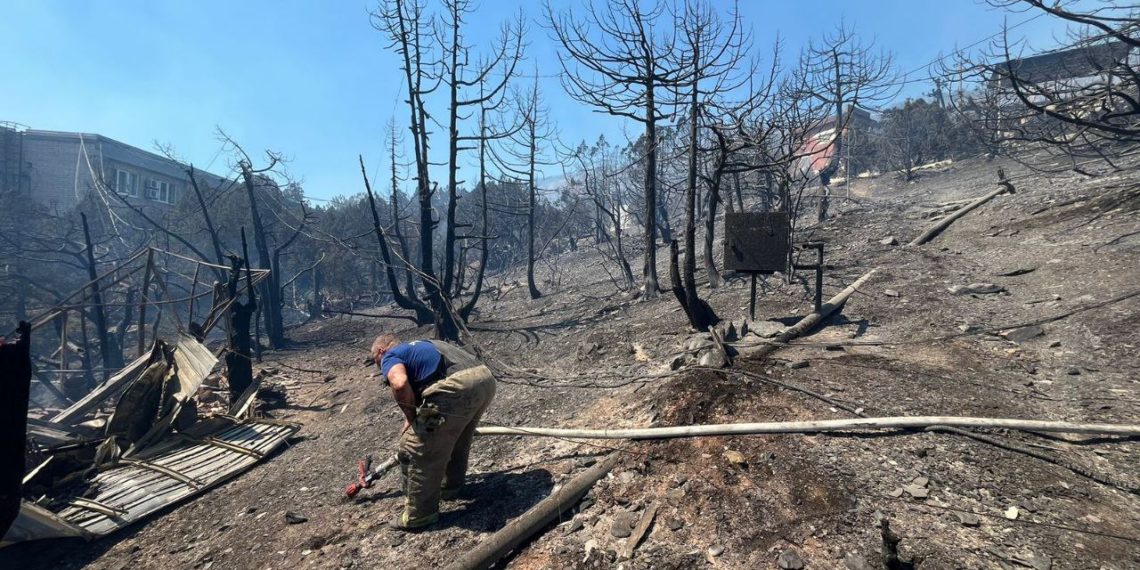 Пожар в Новороссийске нанес экологии ущерб на 5 миллиардов рублей