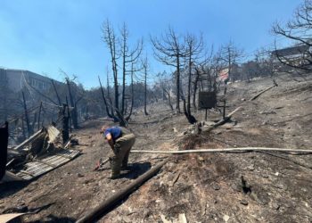 Пожар в Новороссийске нанес экологии ущерб на 5 миллиардов рублей