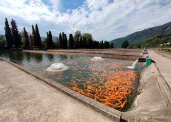 Сочинский форелеводческий завод стал лучшим в крае