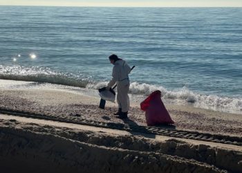 Повторные выбросы мазута заметили на двух участках побережья Анапы