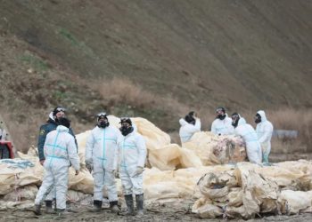 На 11 участках побережья Анапы нашли новые выбросы мазута