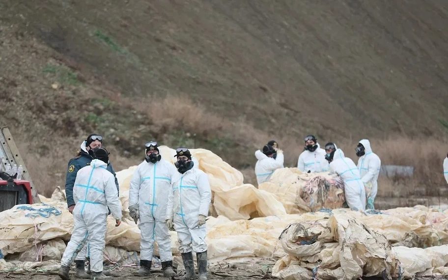 На 11 участках побережья Анапы нашли новые выбросы мазута