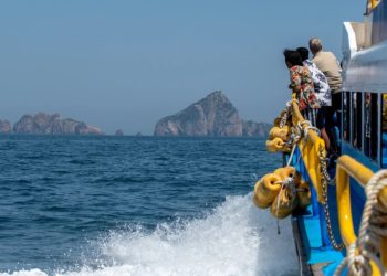 Сочи признан самым популярным российским курортом в 2025 году