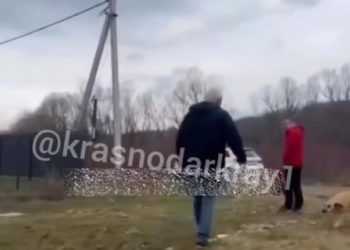 На Кубани мужчина избил женщину и закидал камнями собаку