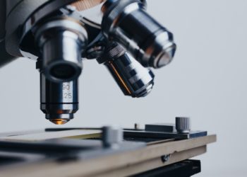 В январе 2025 года на Кубани более 30 профессий оказались в дефиците