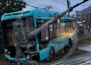 В Сочи автобус оставил поселок без света