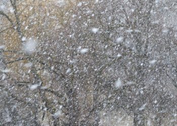 Снежный фронт в Сочи усилился вечером 24 февраля