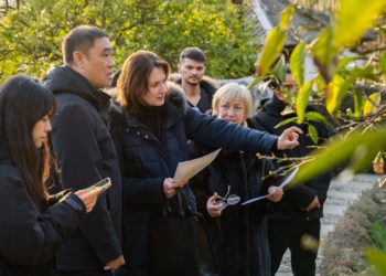 Китайская делегация приехала в Сочи и легендарное «Дерево Дружбы»