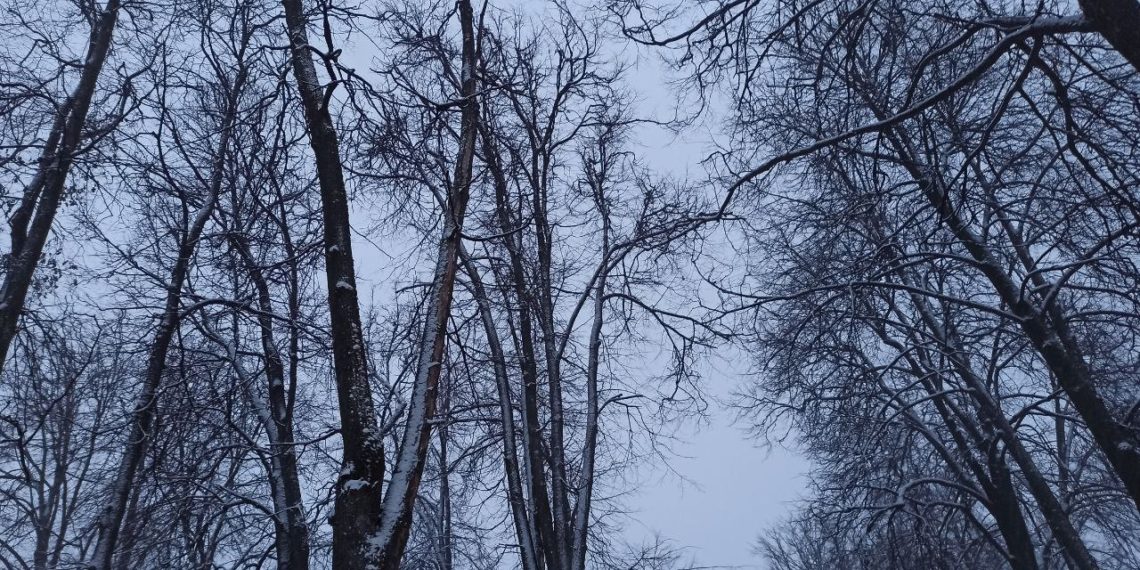 Март и апрель на Кубани будут аномальными. Синоптики сказали, к чему готовиться