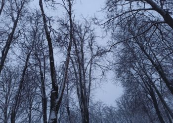 Март и апрель на Кубани будут аномальными. Синоптики сказали, к чему готовиться