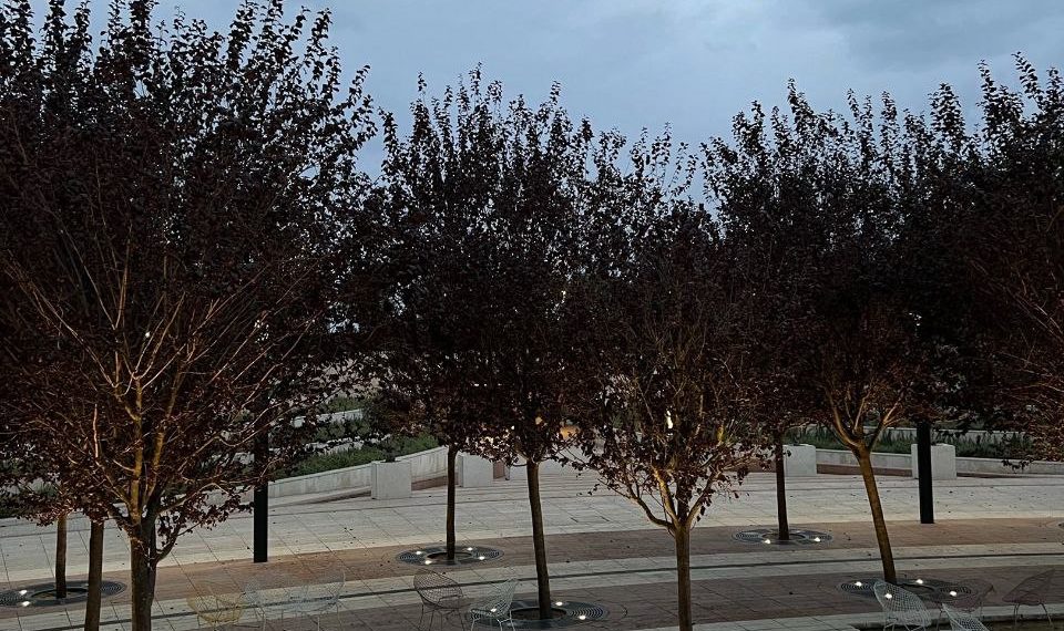 Прогноз погоды на выходные 8 и 9 февраля в Краснодарском крае