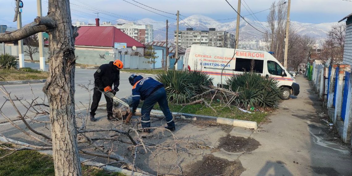 Ветер со скоростью до 32 м/с повалил 17 деревьев в Новороссийске