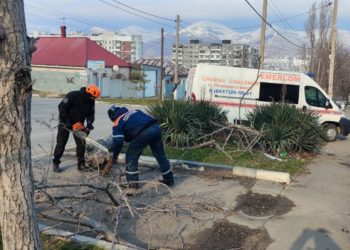 Ветер со скоростью до 32 м/с повалил 17 деревьев в Новороссийске